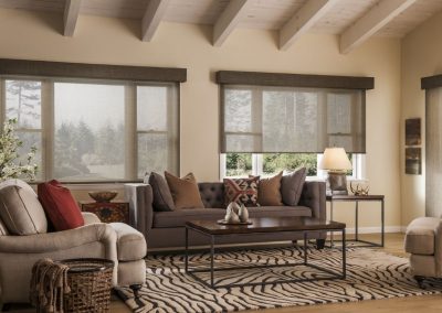 Window-Treatment-Roller